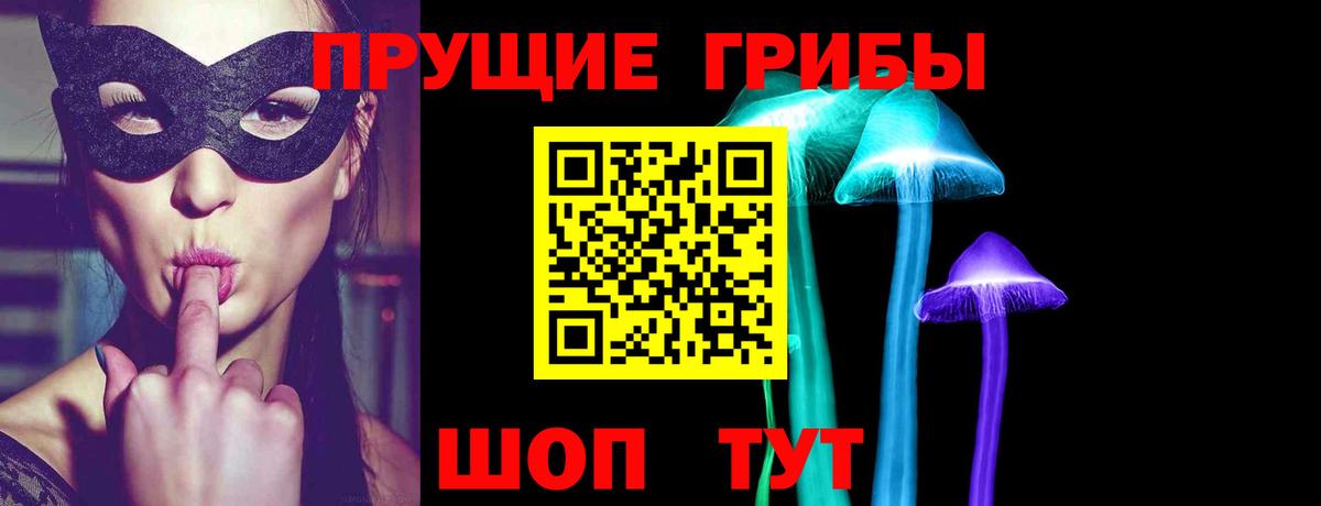 Псилоцибиновые грибы ЛСД  Псилоцибиновые грибы прущие грибы  продажа наркотиков  Вход с VPN  Сухой Лог 
